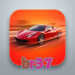 br37